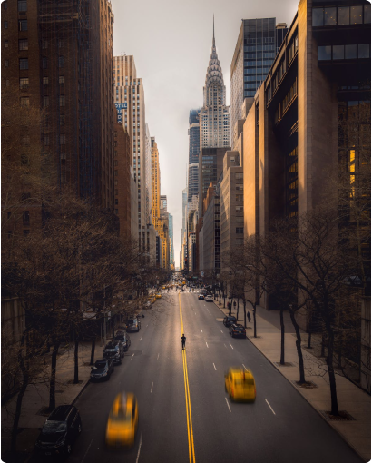 Navigating Career Transitions
